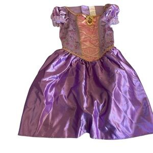 Disney Purple and Gold Princess Halloween Costume